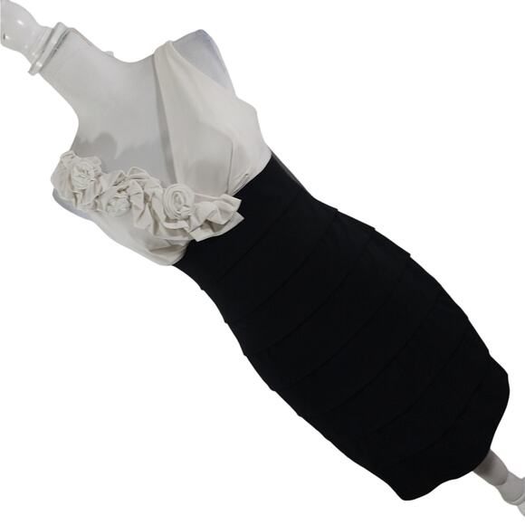 EN FOCUS STUDIO! CREAM OVER BLACK ALL STRETCH ROSE EMBELLISHED DRESS! SZ 4 - Picture 1 of 11